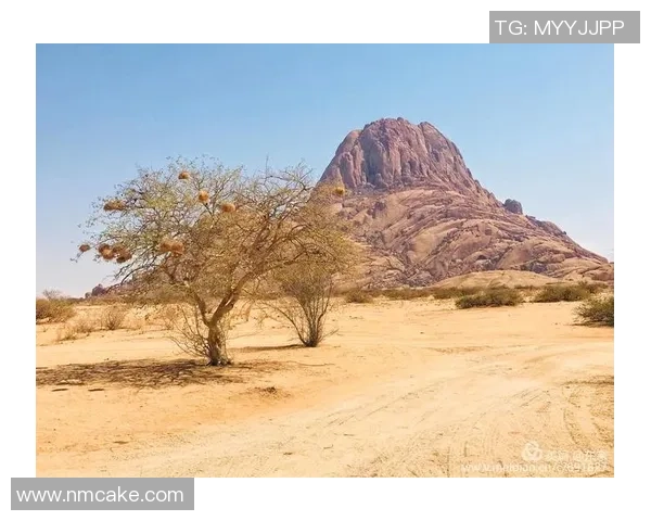 新西兰足球帅哥球星魅力四射引领绿茵场激情风暴 新西兰足球帅哥球星魅力四射引领绿茵场激情风暴